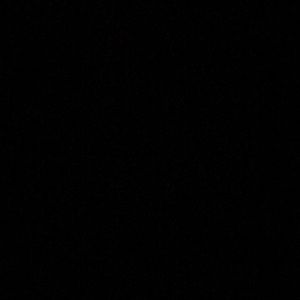 Meet your Posher, Sidney